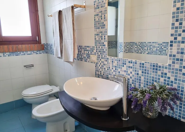 Barko & 斯塔加托