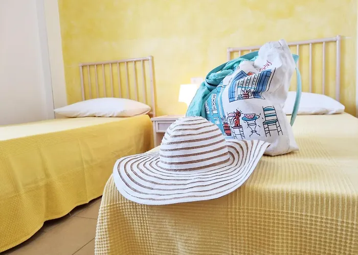 Barko & 4* Стеккато